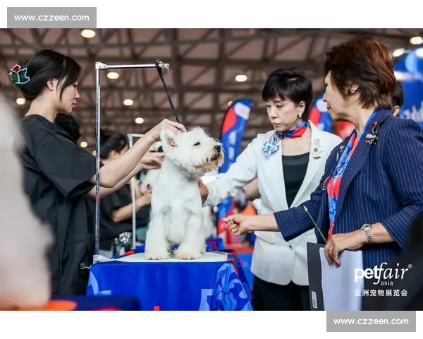 赛场上的精英犬种展示风采各具特色 引领狗狗比赛新潮流